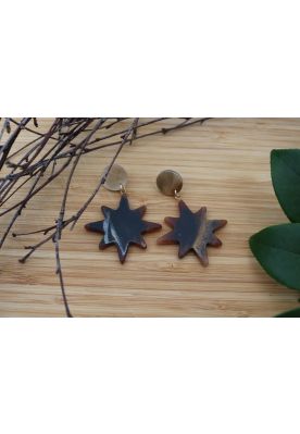 Stjerne øreringe, horn look